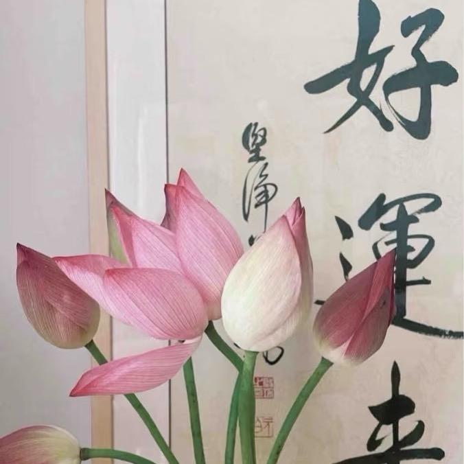 小韦学姐（广西单招升学版）