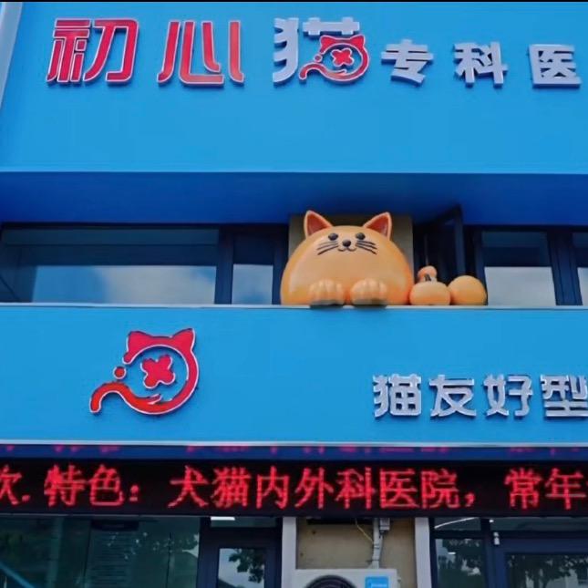东海县初心猫专科医院