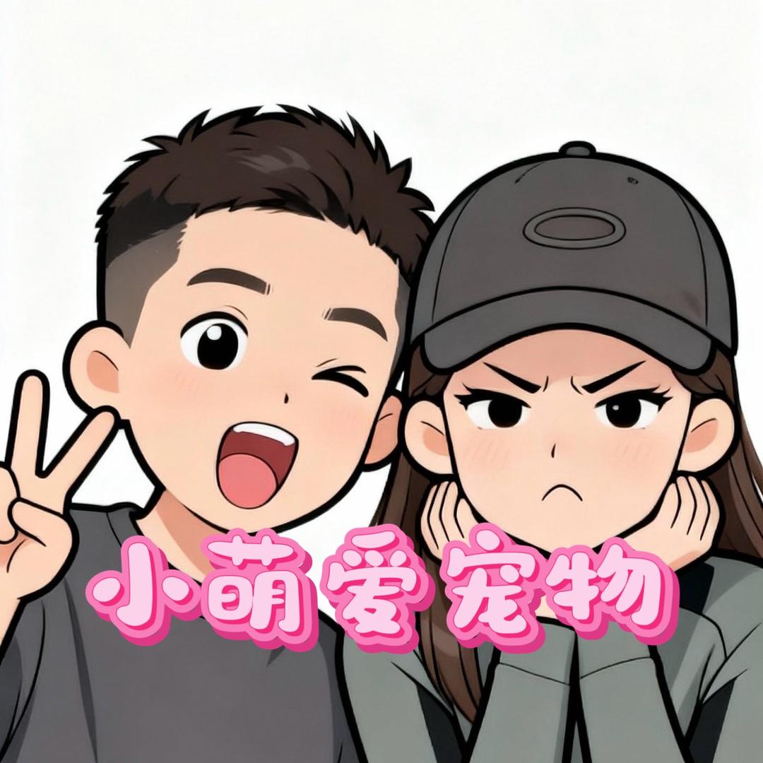 团子宠物