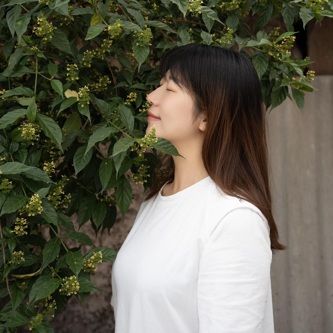 阳阳的故事