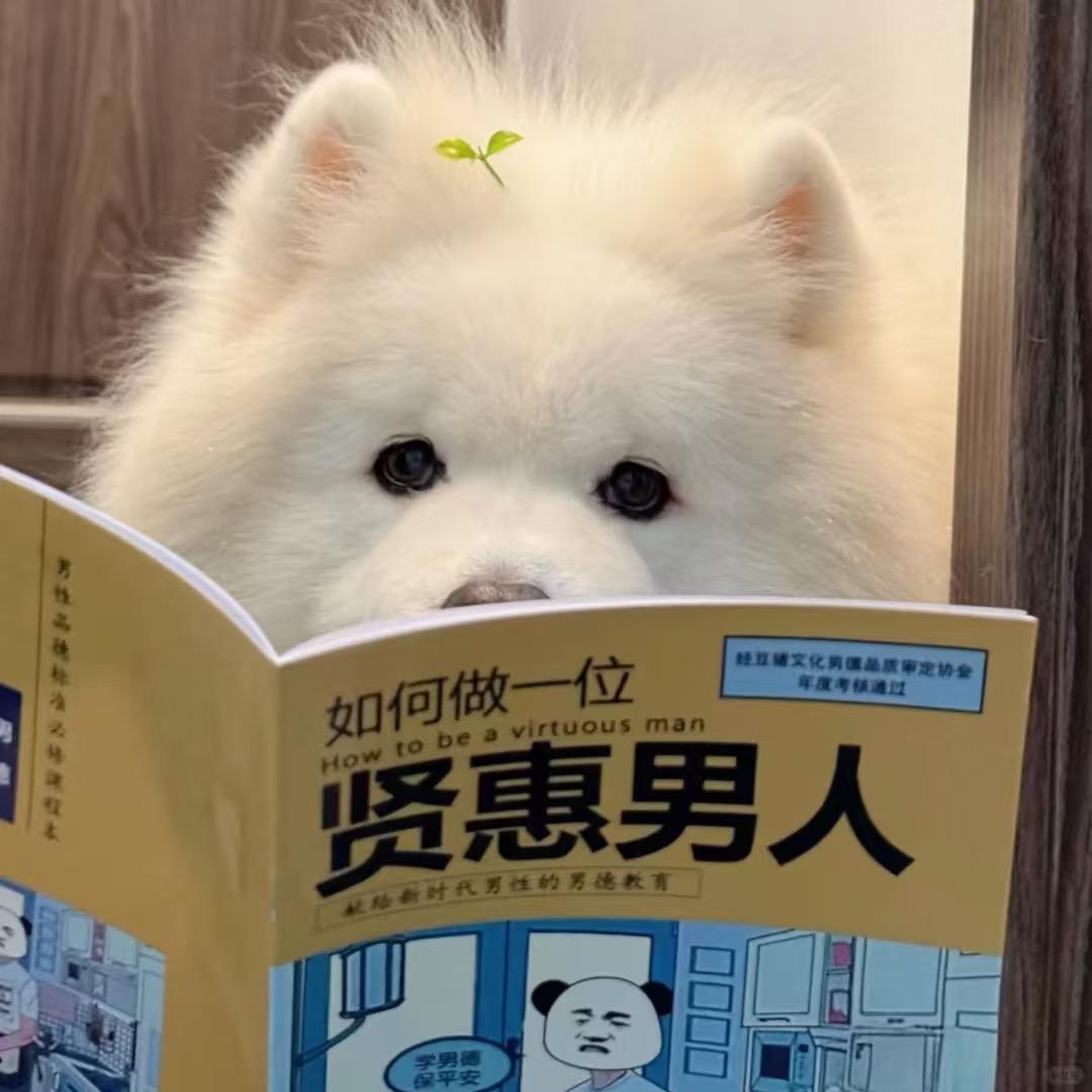 Nine九