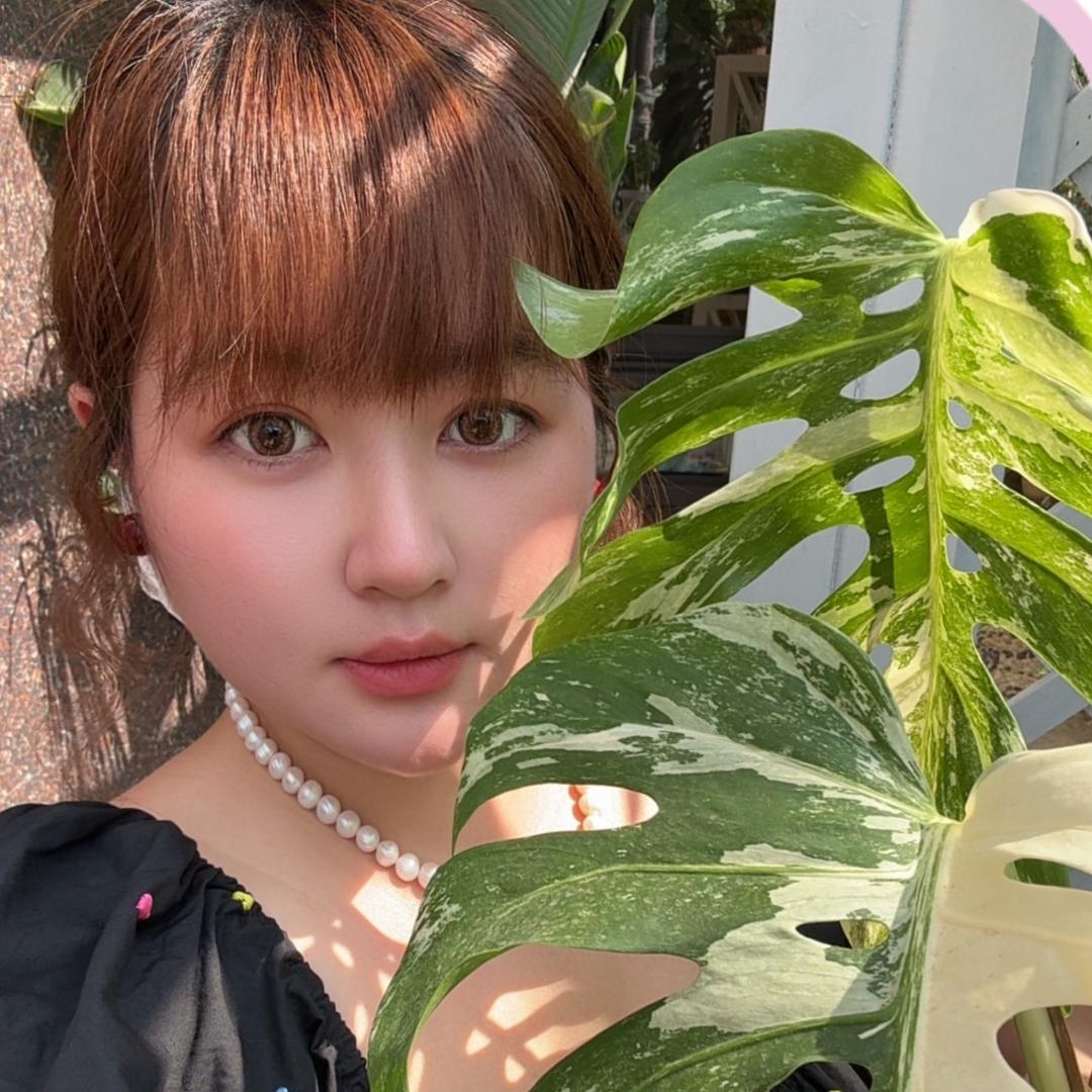 明哥明嫂的绿植俱乐部