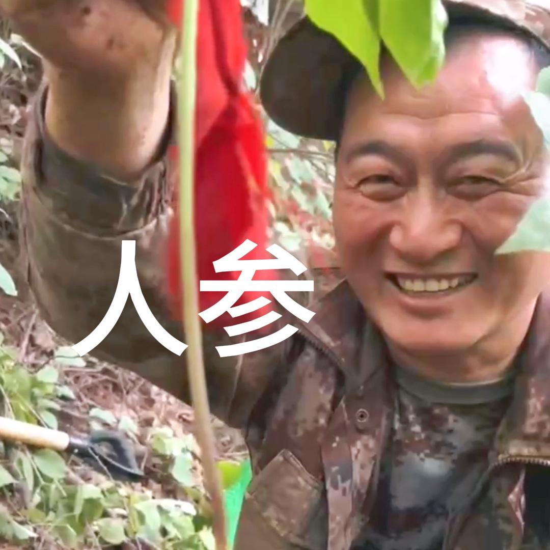 老张在东北