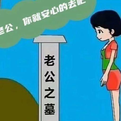 寻狗启示