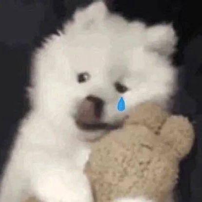 平舆县水果批发老韩（可快递）