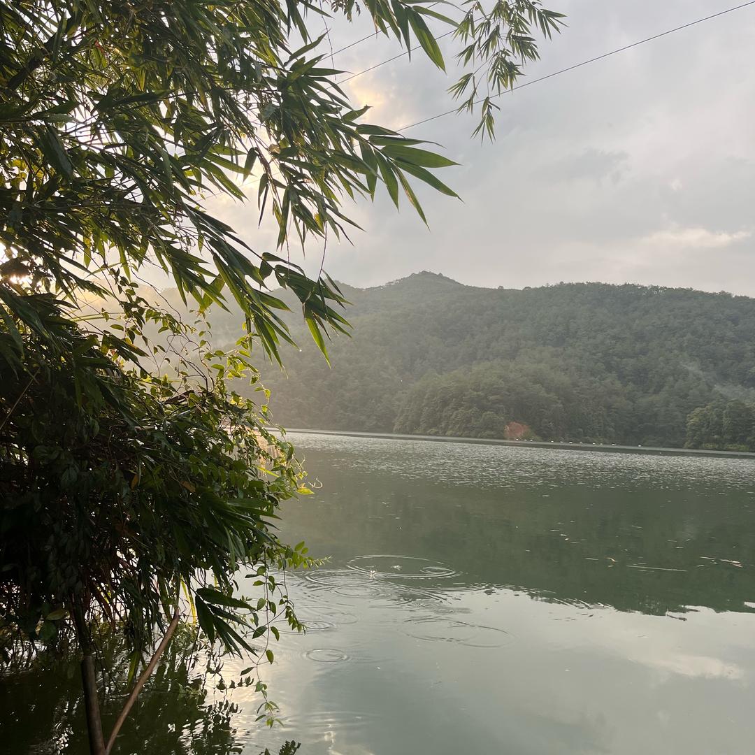 麦浪
