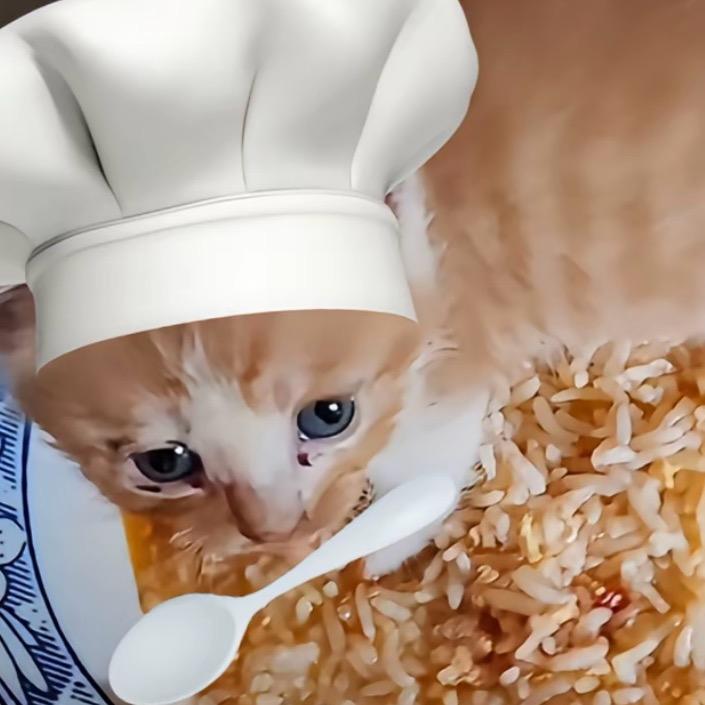 爱吃小猫饼干（努力上班版）