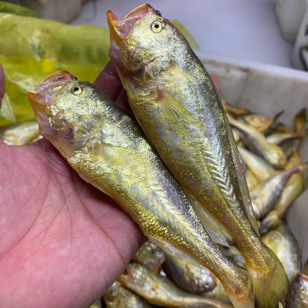 御知鲜舟山海鲜