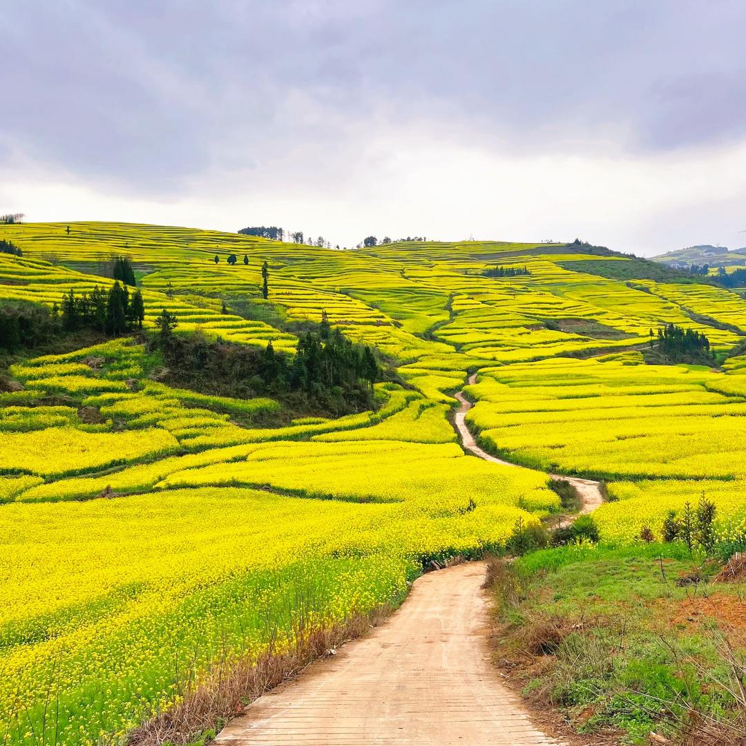 山歌罗平（短视频）