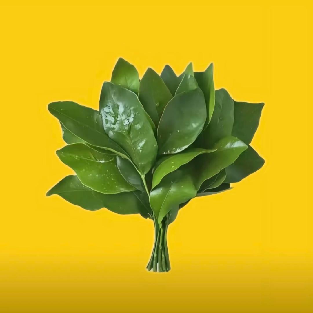 终遇你。
