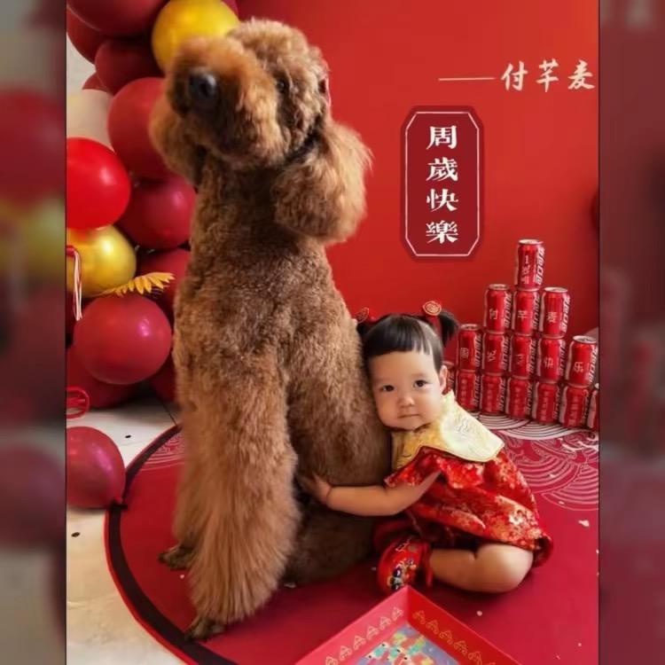 东北福
