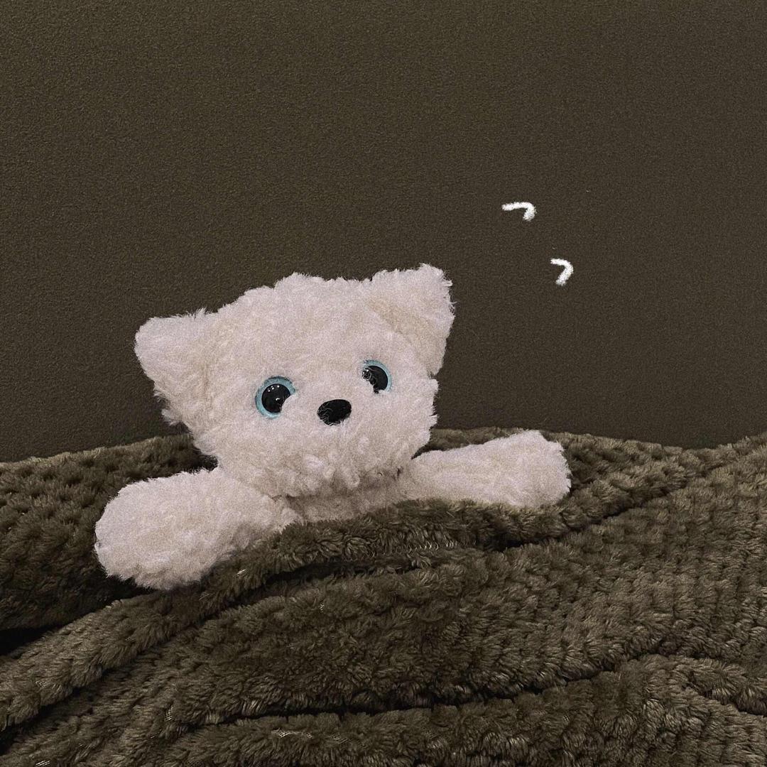 小汤圆的大迷妹