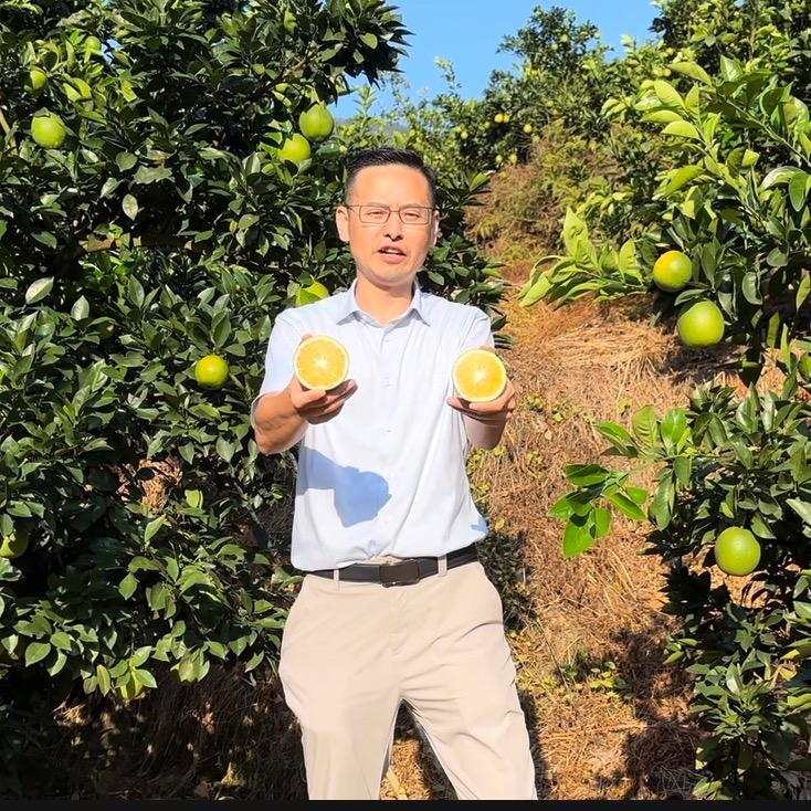 晏鸣的果园