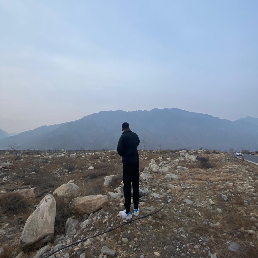 @张小八