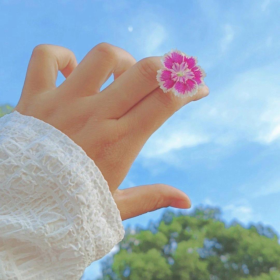꧁∵ℳ̶̶̶̶꧔ꦿ🌸芳菲🌸ঞ: ༺