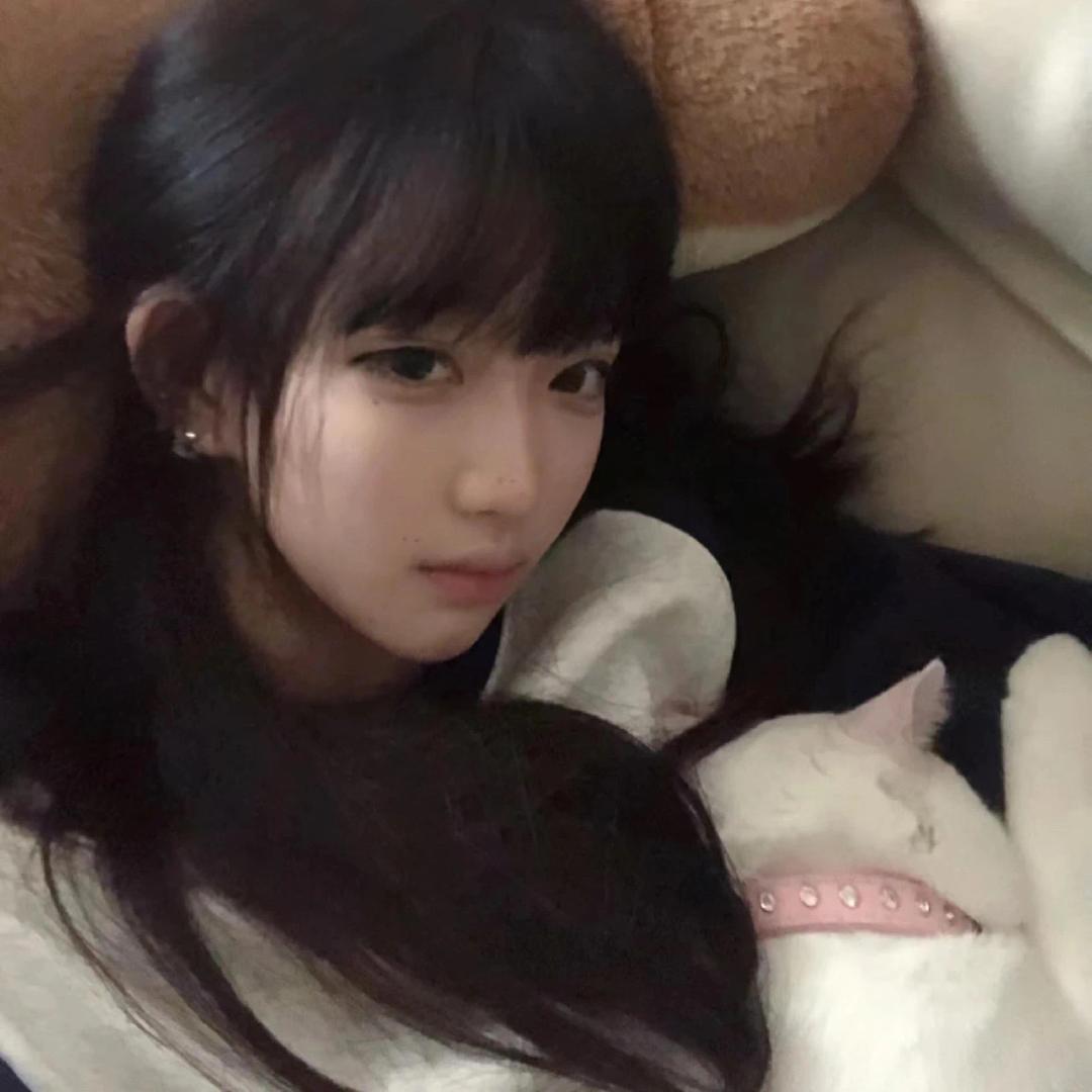 凌晨一点的猫