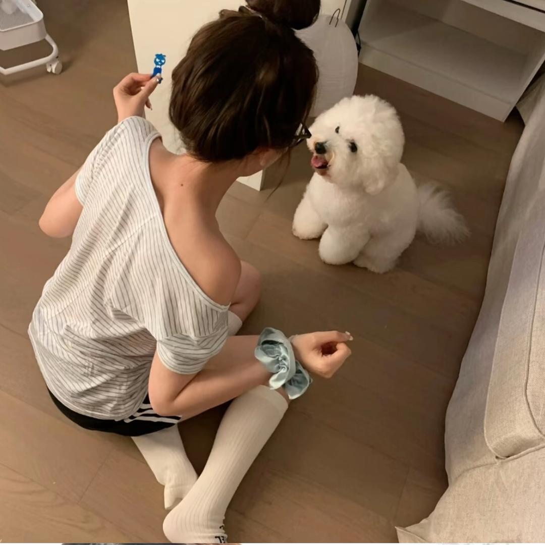 丸丸（见过小boss版