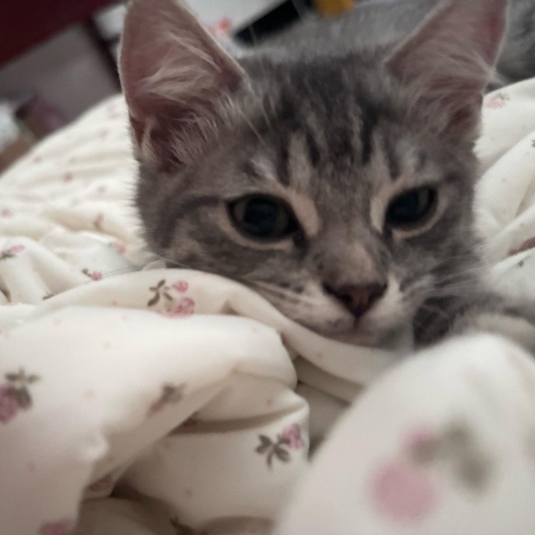 先挣亿个达不溜．