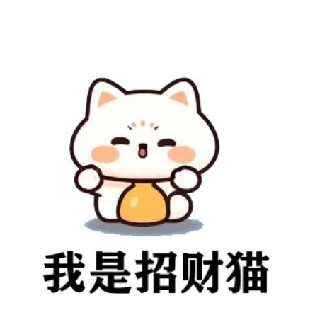 小小财迷💰