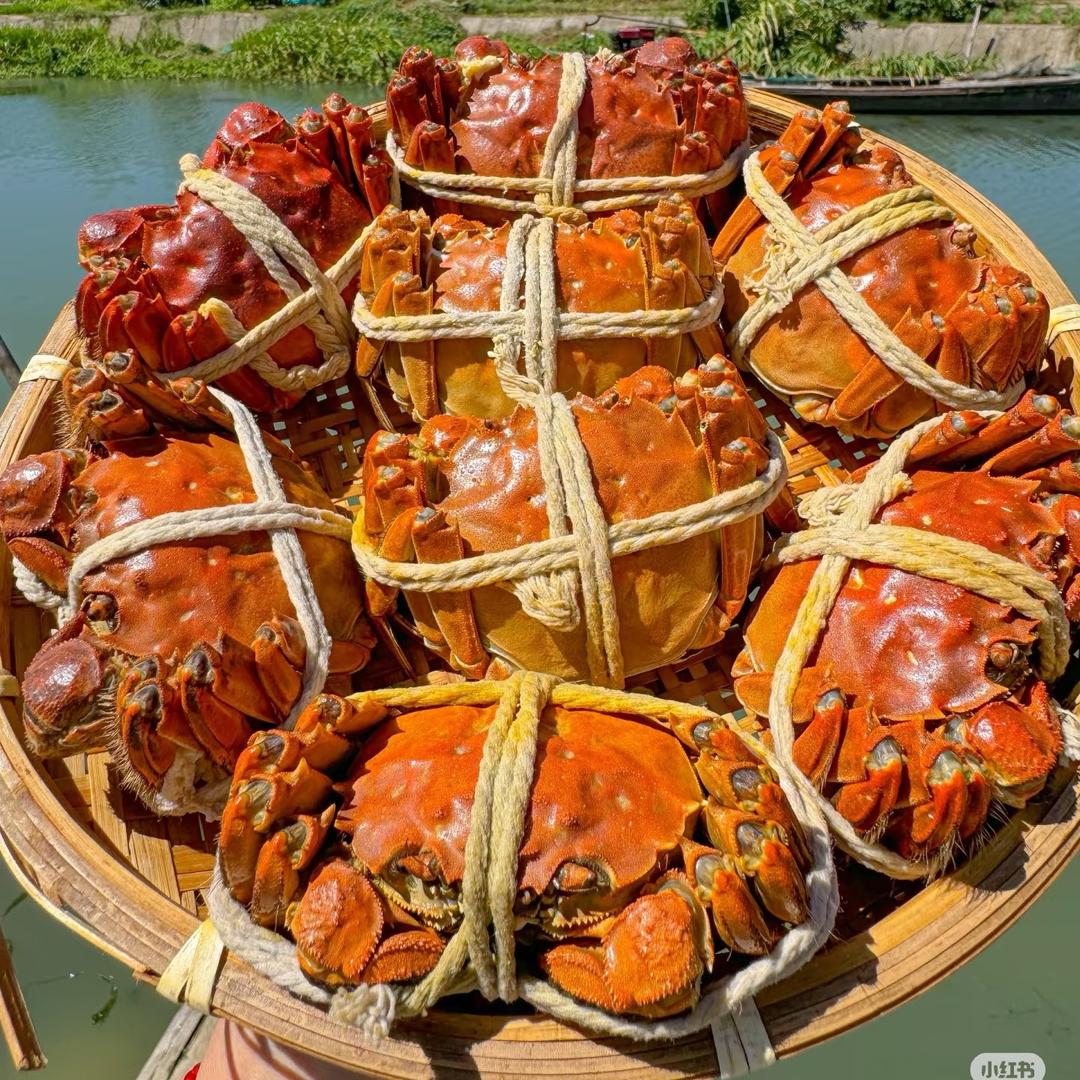 中易水产生鲜供应链