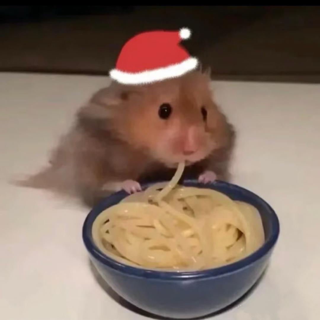 爱吃意大利面的鼠老板