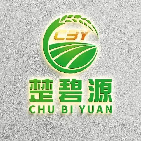楚碧源