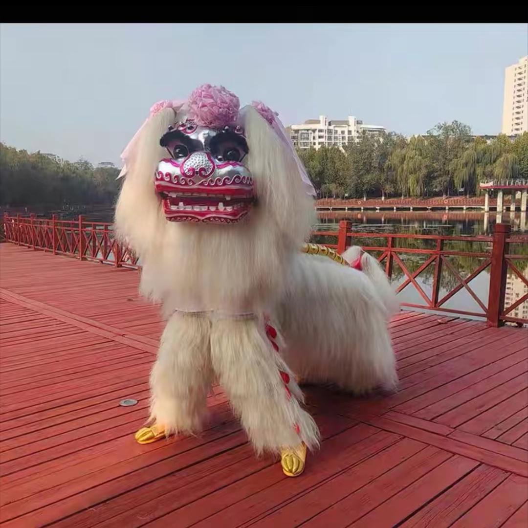 龙山龙威舞狮团杨丽