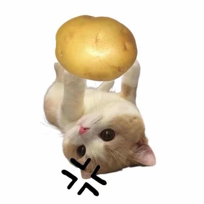 披星
