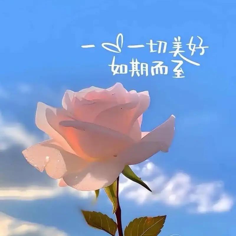 桃花开了