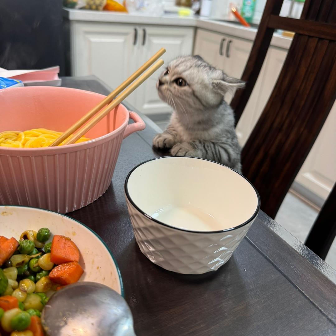 橘 橘子