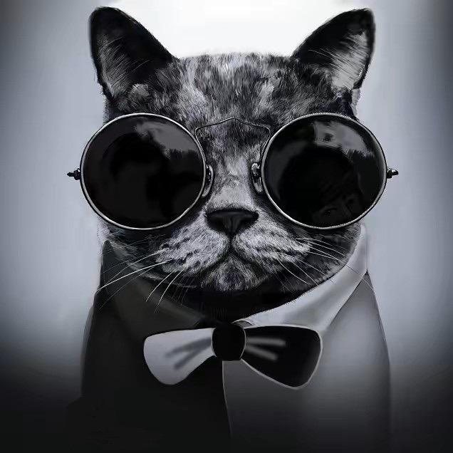 蓝猫原创定制（24h)