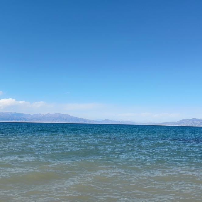 阳光酣睡哈哈哈