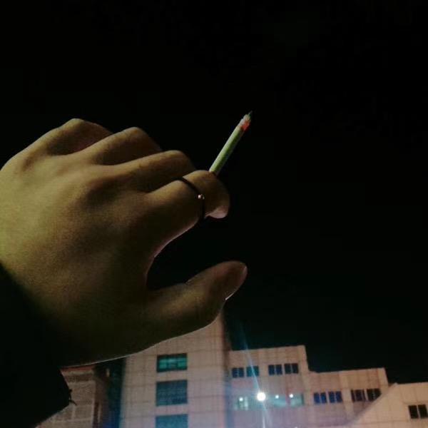 深秋孤蝉