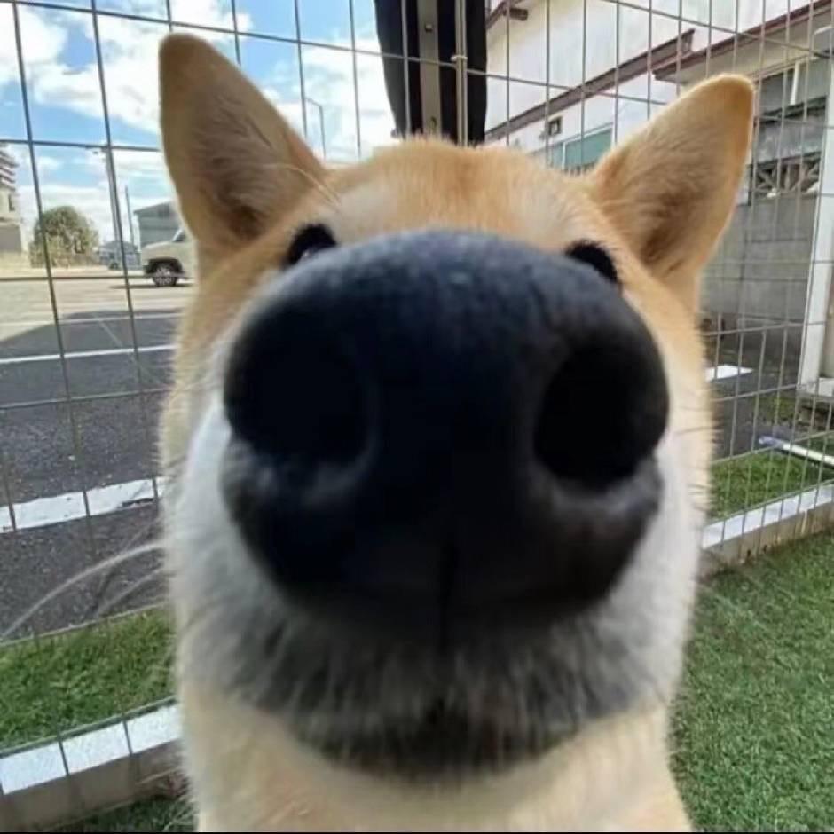 家和万事兴 杨二姐