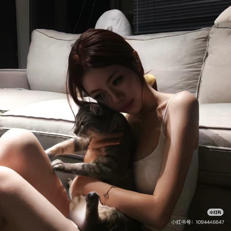 达令🐰