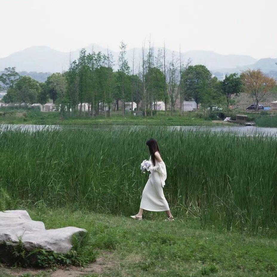 安迪的花