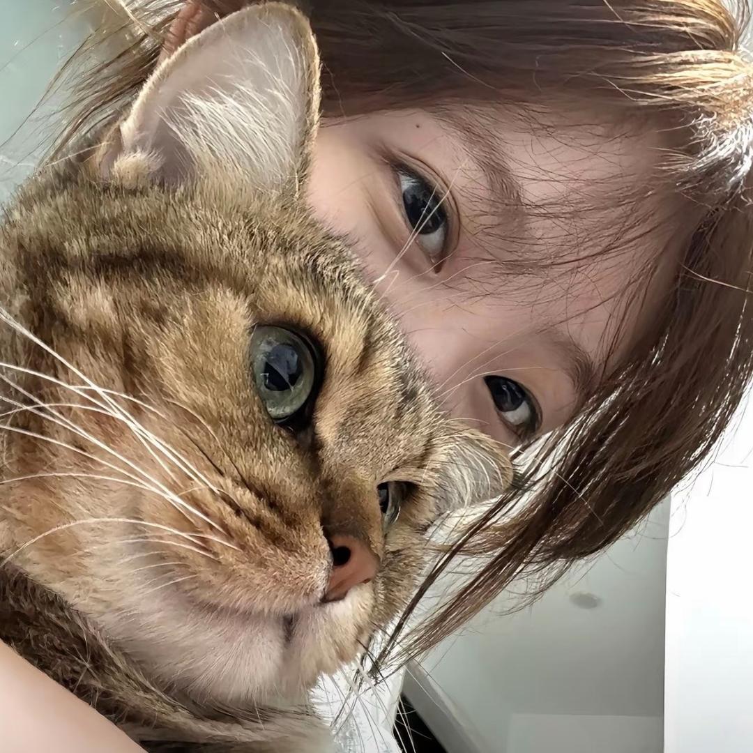 玫 瑰