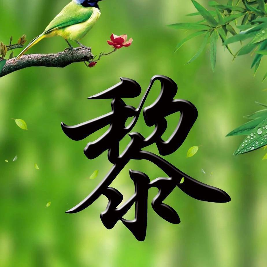 黎氏文化