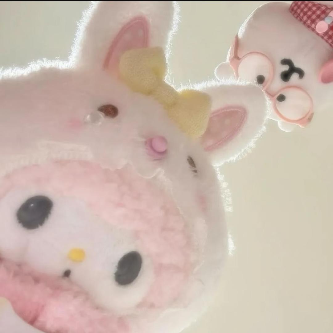 小嘉少