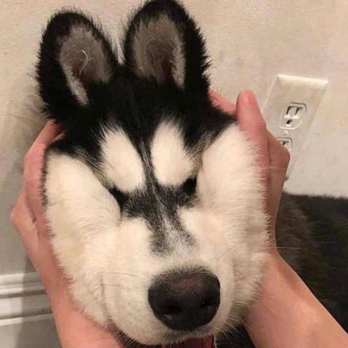 明天.