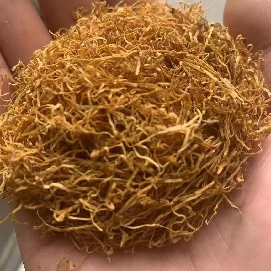 云小哥