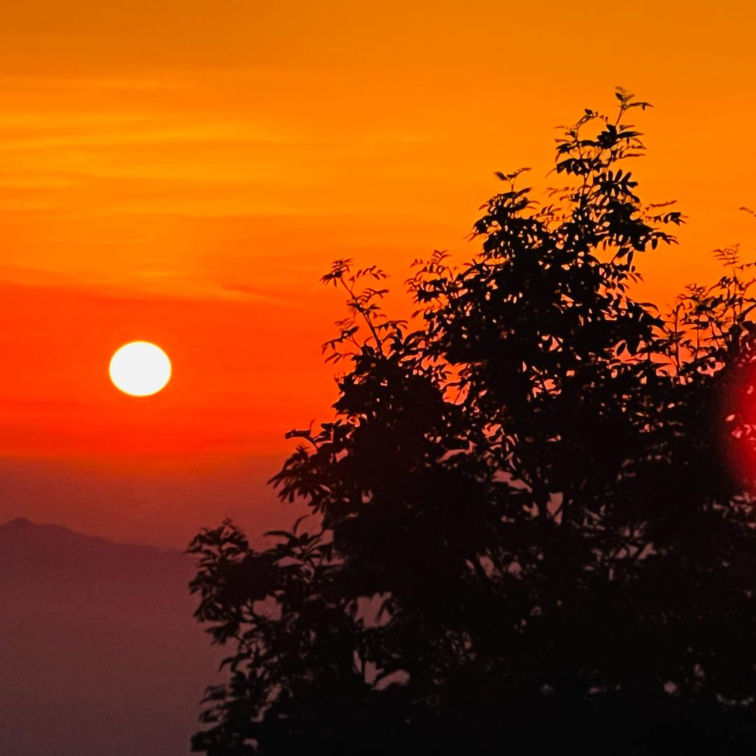 钓不着就买一条