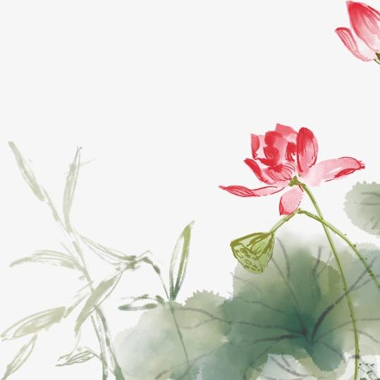李老师聊健康