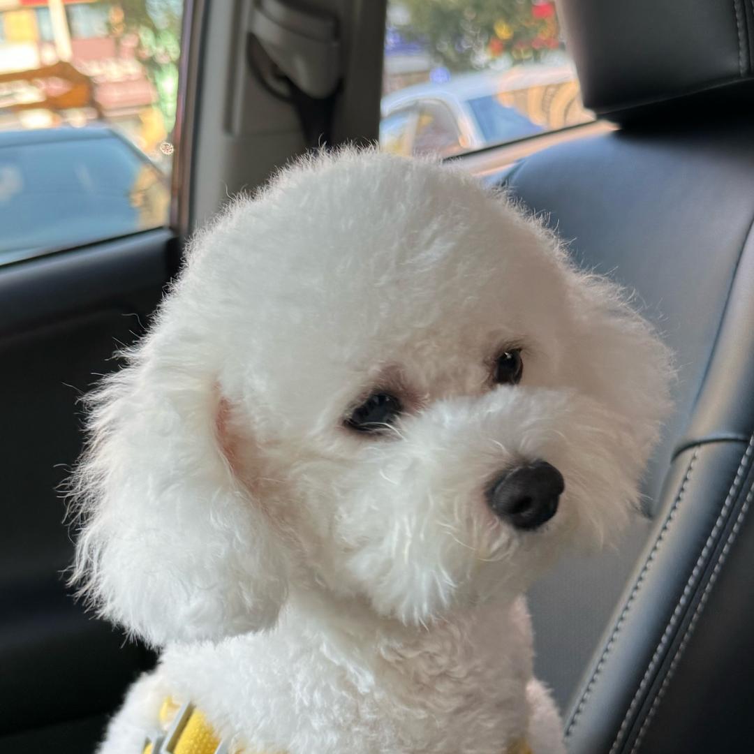 交个盆友啵🐾