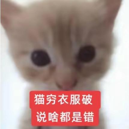 开开
