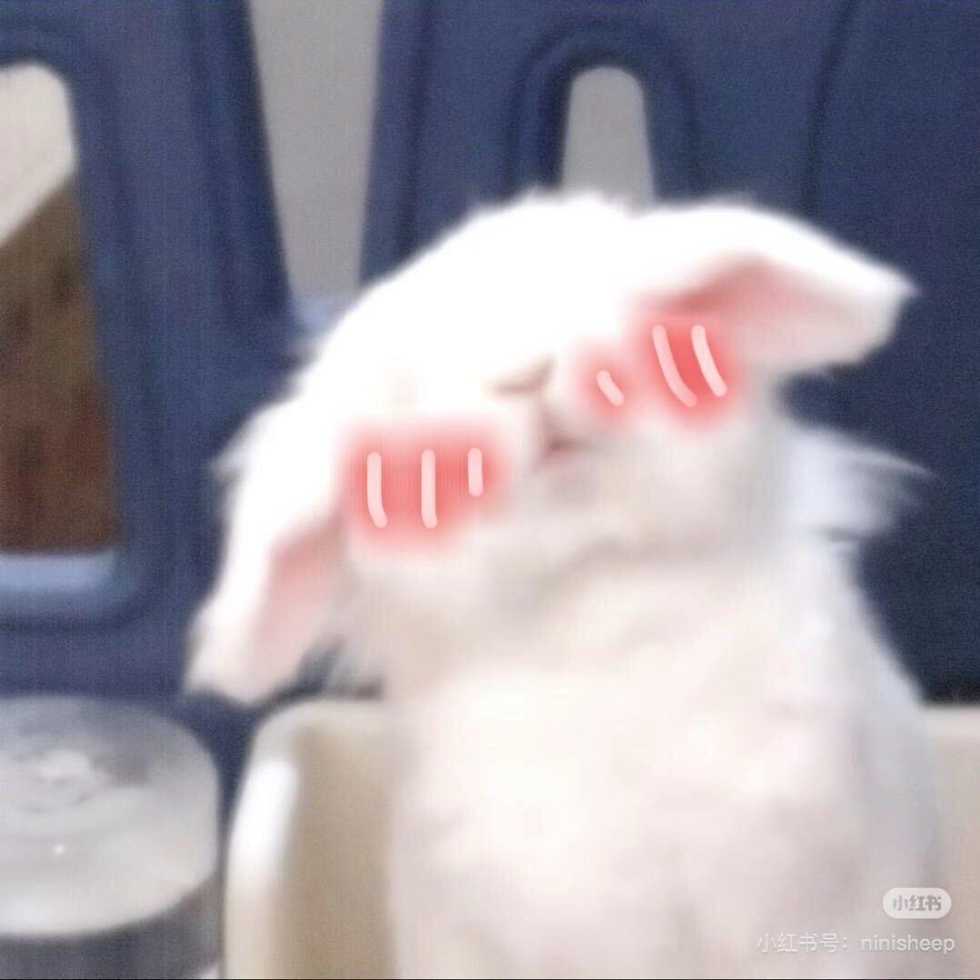 不  知  道  起  个  啥
