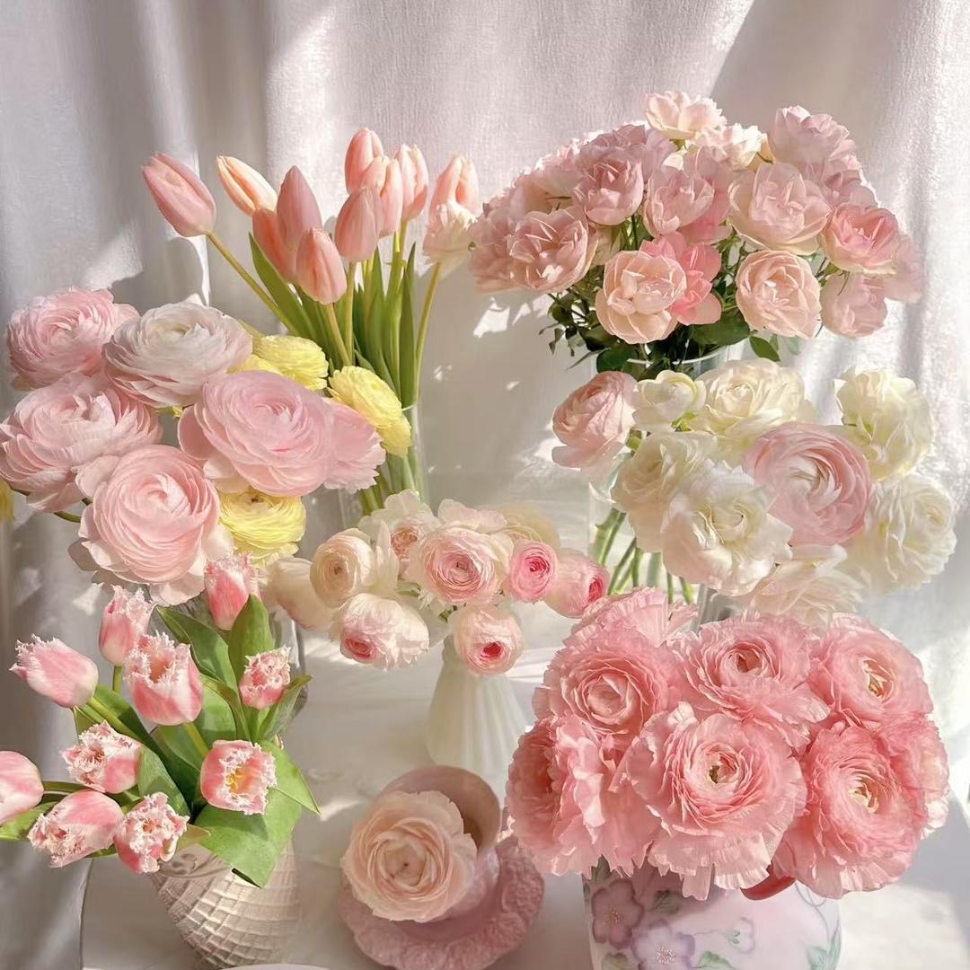 花好悦园花卉
