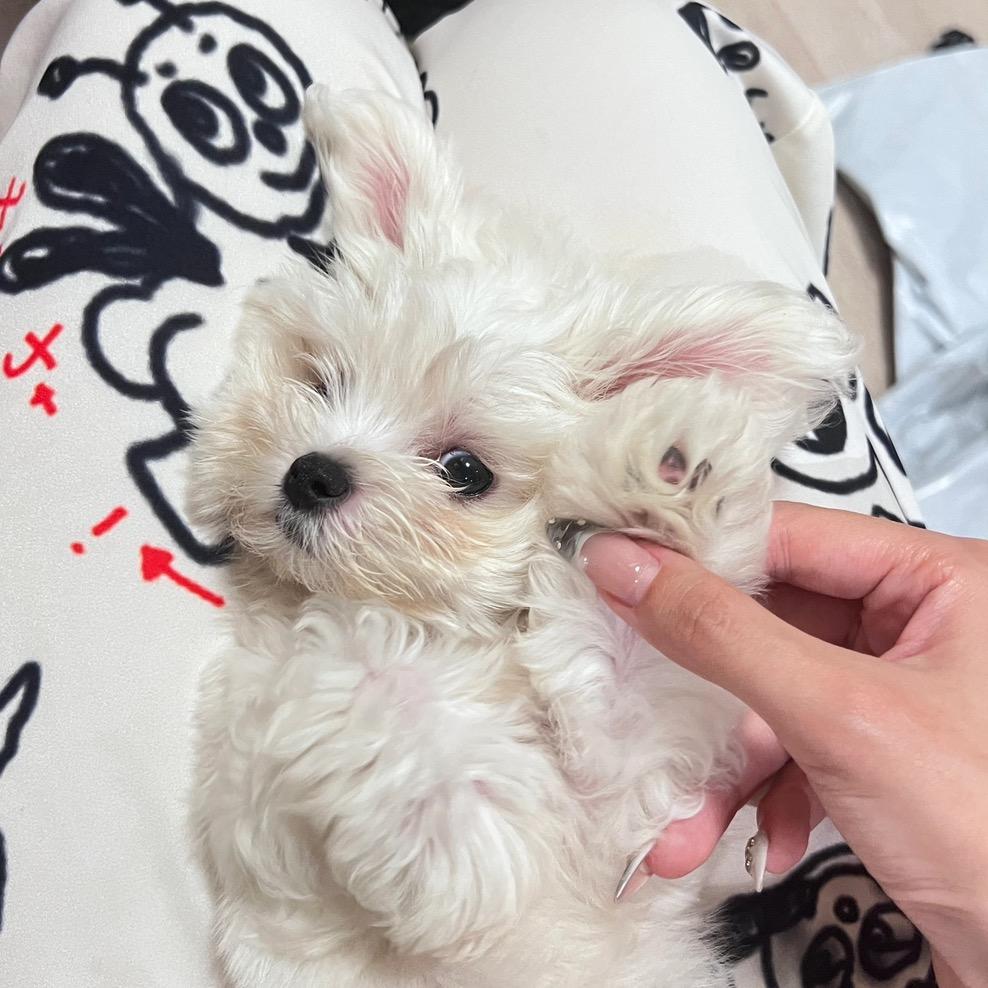 董四万养成记🍃