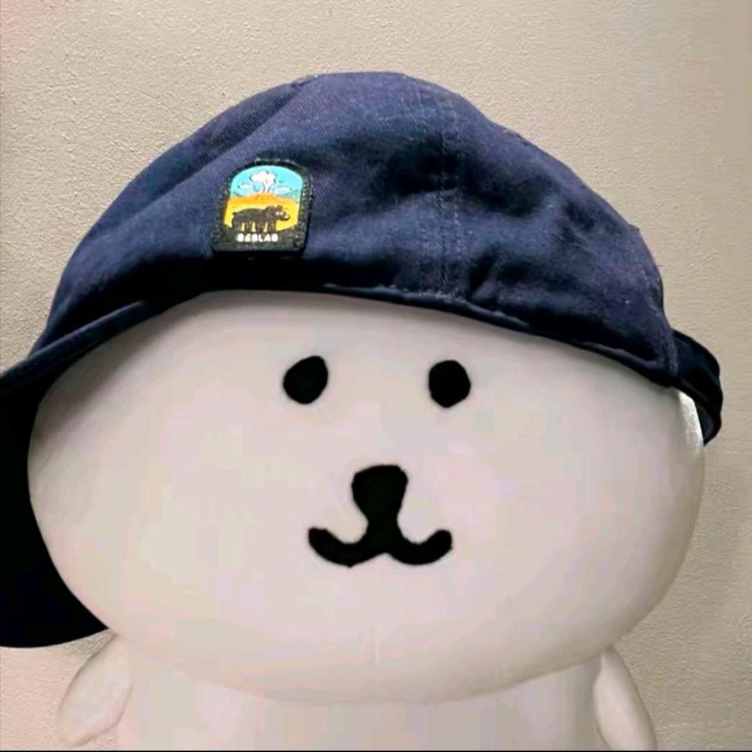 新进展