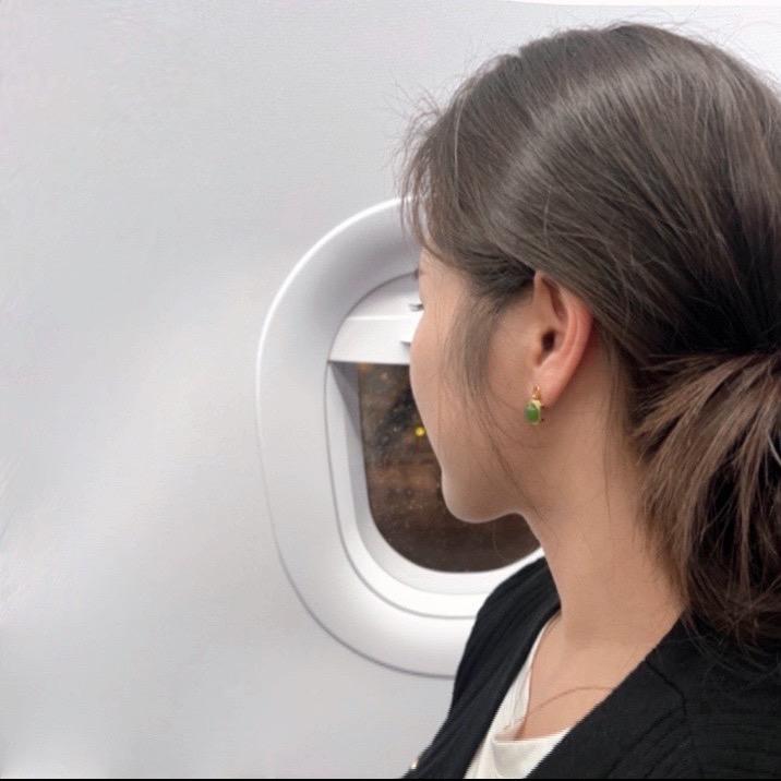 蓝桉🕊